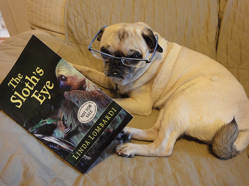 Book royalties = cookies!