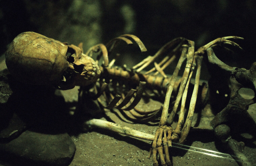 skeleton