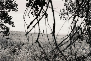 Film