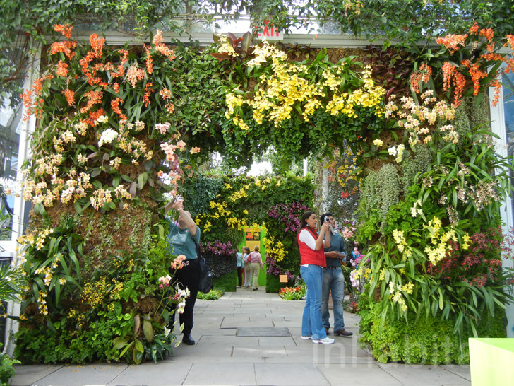 A vertical garden arch