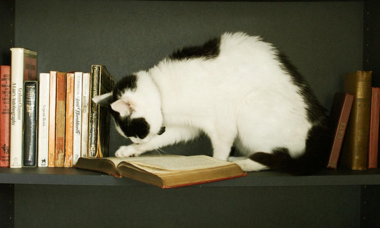 So many books, so little time