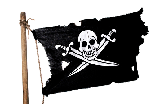 Pirates in the Library