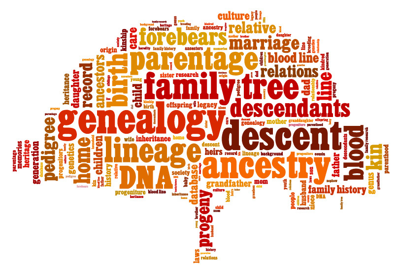 Conceptual,Vector,Of,Tag,Cloud,Containing,Words,Related,To,Genealogy