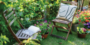 03-2025-Shady-gardens