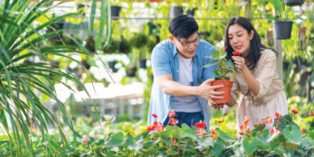 06-2025-Gardening-on-a-budget