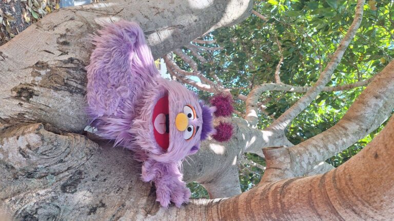 20250929_115006.jpg Ace from Jen.jpg V2.jpg V3