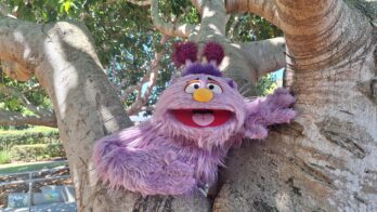 ace landscape.jpg V6