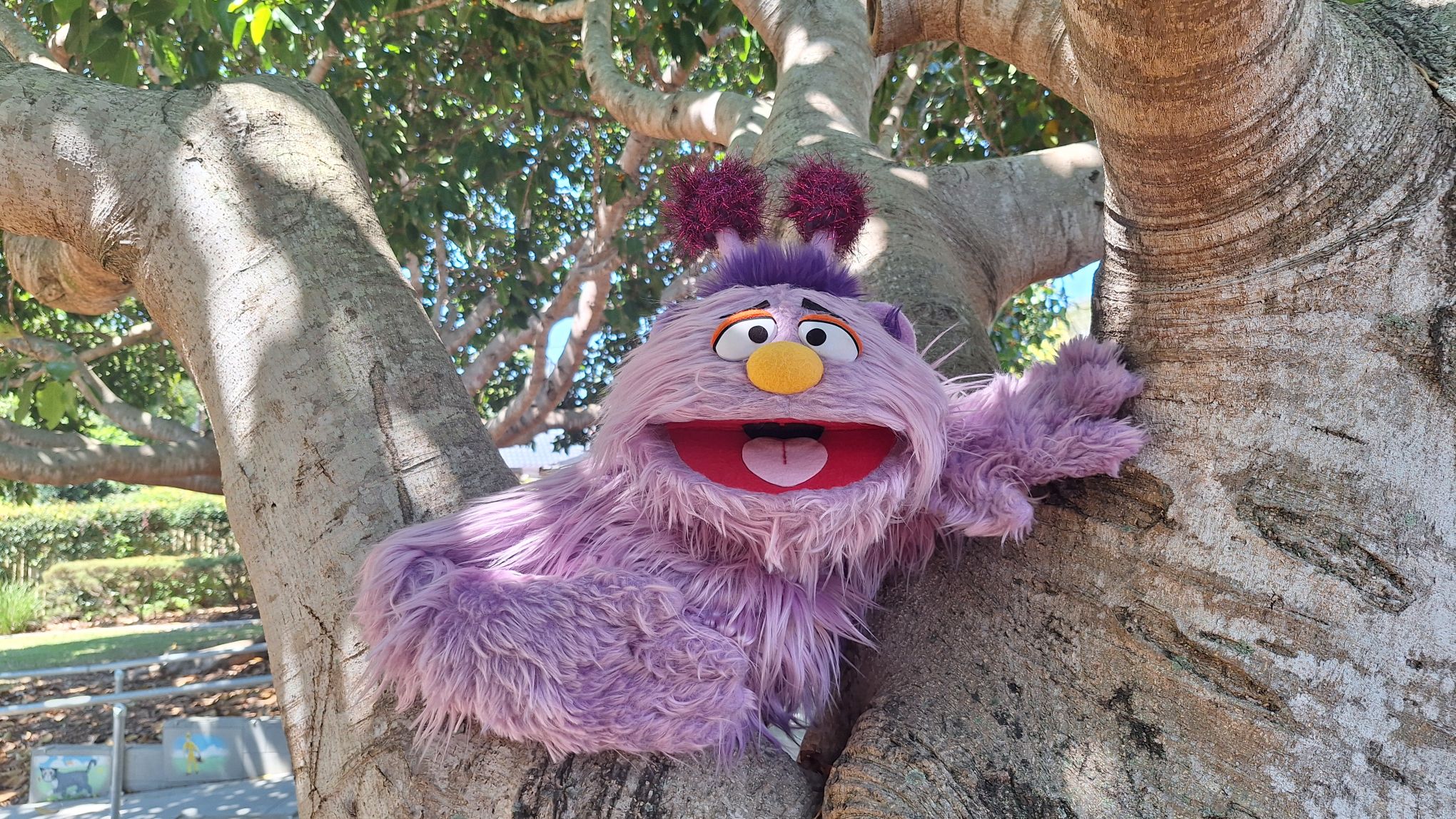 ace landscape.jpg V6