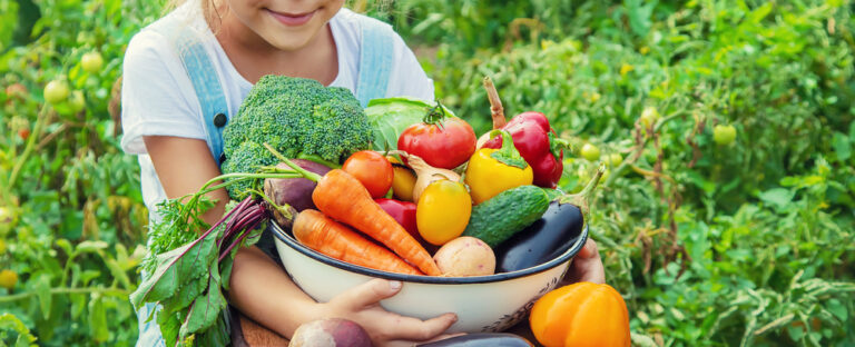 Child,In,The,Garden,With,Vegetables,In,His,Hands.,Selective