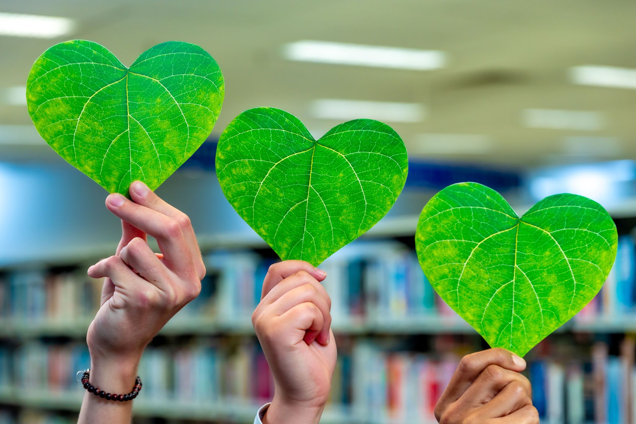Green hearts in library